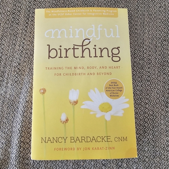 Mindful Birthing by Nancy Bardacke, CNM - Picture 1 of 4